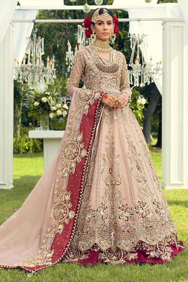 Ethnic / Traditional Wear